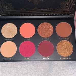 Ace beaute grandiose palette
